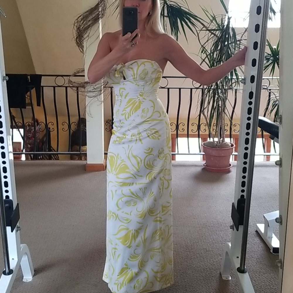 Milly dress - Picture 3 of 7